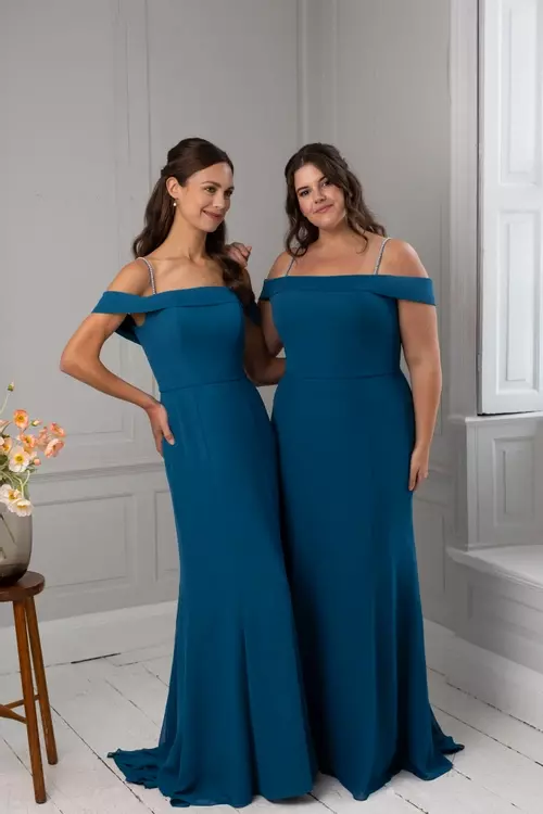 princess polly baby blue dress Ivory Long 2026 Bridesmaid Dress One-Shoulder Sleeveless main image 1